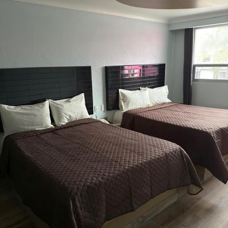 Hotel & Villas 7 メキシコシティ エクステリア 写真